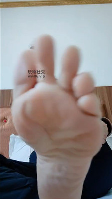 霸王花红绿灯 (3).JPG