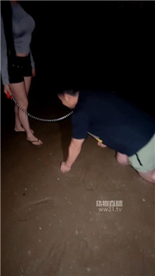 【小辣蕉S】1708