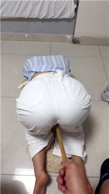 wh训犬师3528