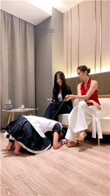 尤黎S青冉8748+8801