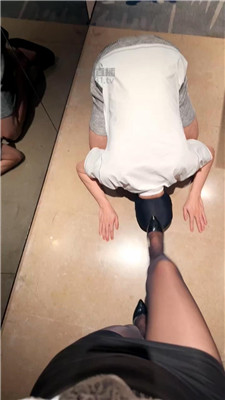 狗哥2 5527
