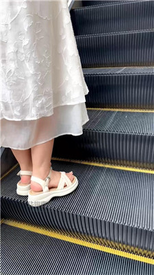 西北傻子9254