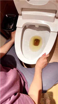 南京桃桃1 2337